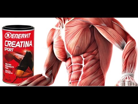Formiche da prostatite Diagnosi raggio di malattie della prostata