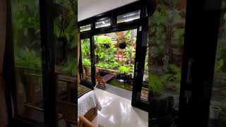 Download lagu Cocok di halaman belakang atau samping rumah mp3