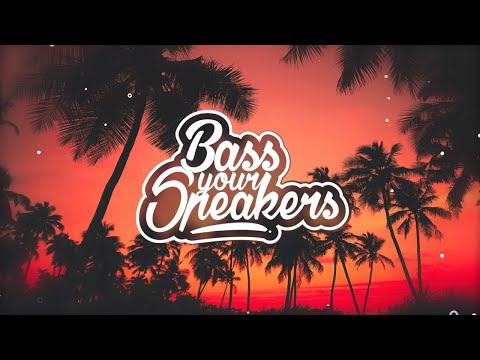 Sleazy Stereo - Pass Out Riddim