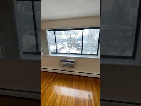 FREE MONTH Modern 1st  floor sunny   b2 ed Parking Included, Heat Hw Inc 1 FREE MONTH   no LEAD PAINT property video