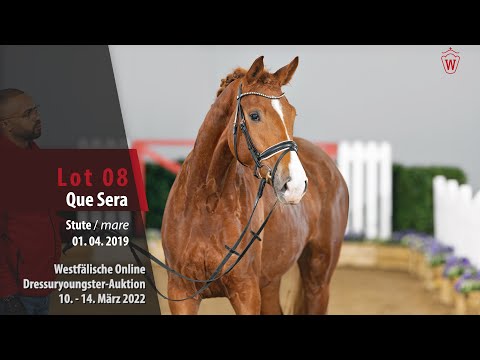 Dressuryoungster-Auktion Lot 8 Que Sera Stute v. Quantensprung - Ehrenpreis