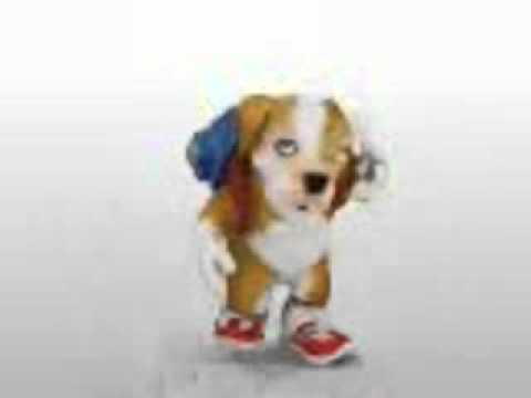 chacarron macarron perro (COMPLETO)