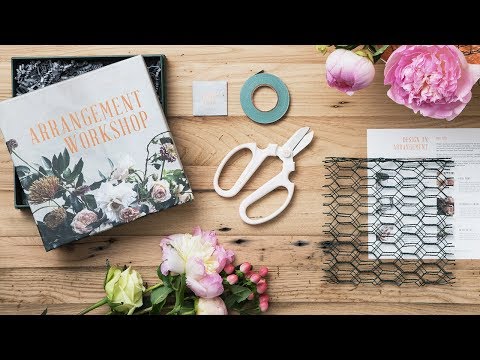 download lagu mp3 mp4 Floral Society, download lagu Floral Society gratis, unduh video klip Floral Society