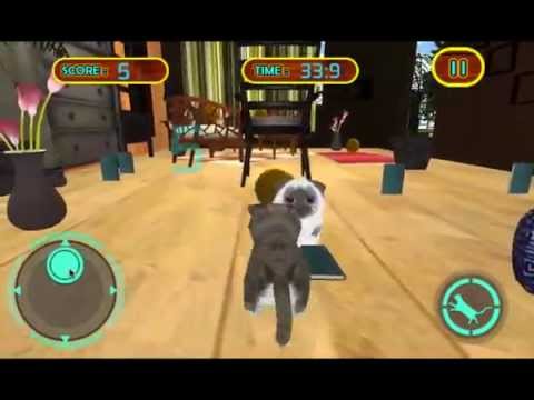 Real Pet Cat 3D simulator Video