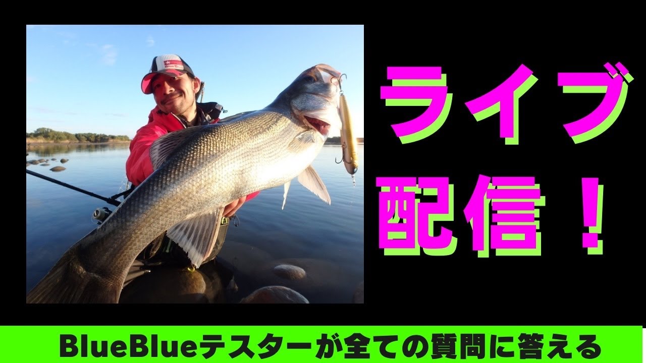 【全ての質問に答える生配信】第19回シーバス　マゴチ　チヌ　BlueBlue ルアー　おすすめ　2025 　　　リール　ロッド　ルアー ヒラメ　サワラ　伊勢湾