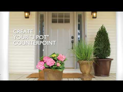 Lowes Porch Trees