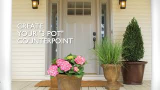 How to Spruce Up Your Front Porch w/ Plants