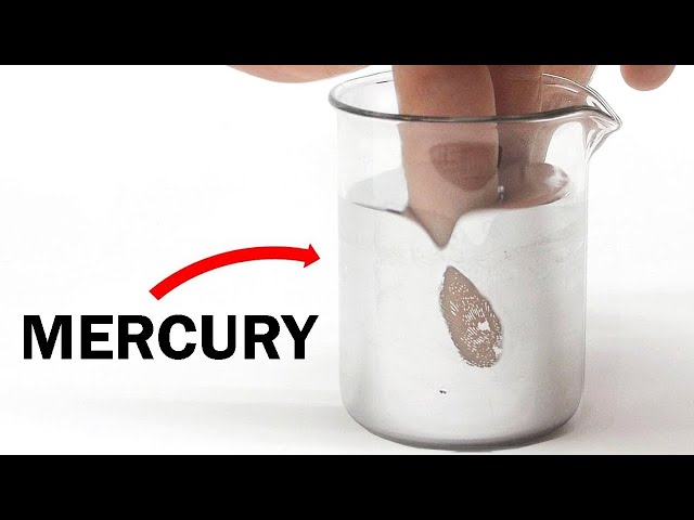 הגיית וידאו של Mercury בשנת אנגלית