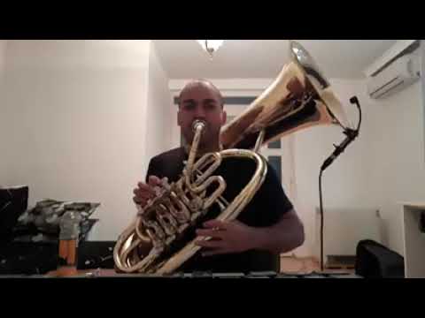 Dzambo Agusevi & Mishel Trajkovski feat. Macedonian All Stars - Havana - Nego Bass - Cover -