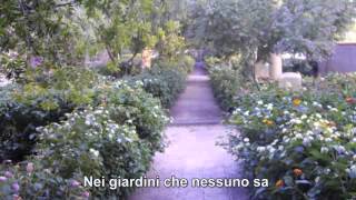 Vignette de la vidéo "Renato Zero - Nei giardini che nessuno sa (con testo)"