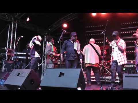 Black Roots - Vegfest 29th May 2011