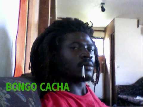 Bongo Cacha - freedom