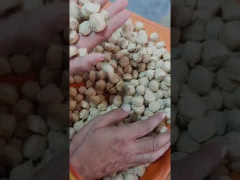 High Protein Soya Mini Chunks (Loose Bag)