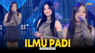 Download lagu CANTIKA DAVINCA - ILMU PADI | Feat. BINTANG FORTUNA mp3 Download lagu CANTIKA DAVINCA - ILMU PADI | Feat. BINTANG FORTUNA mp3