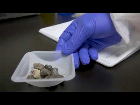 Cryo-Milling Rocks with the Bead Ruptor 96