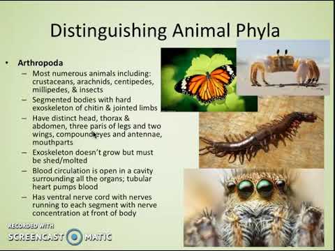 5.3 Classification of Biodiversity
