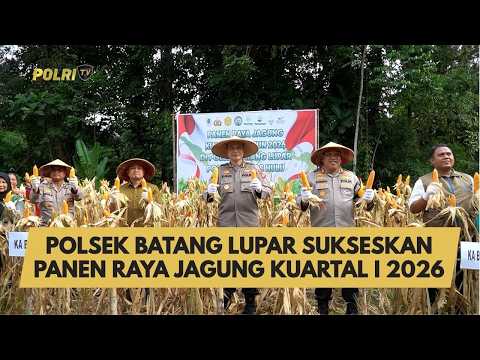 POLSEK BATANG LUPAR SUKSESKAN PANEN RAYA JAGUNG KUARTAL I 2026