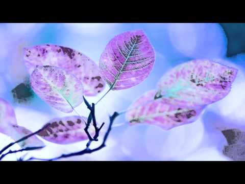 Dj Clyme - Fly Up (Music Collection available now)