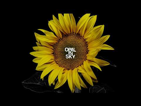 OPAL IN SKY - The Artist (Music Video)