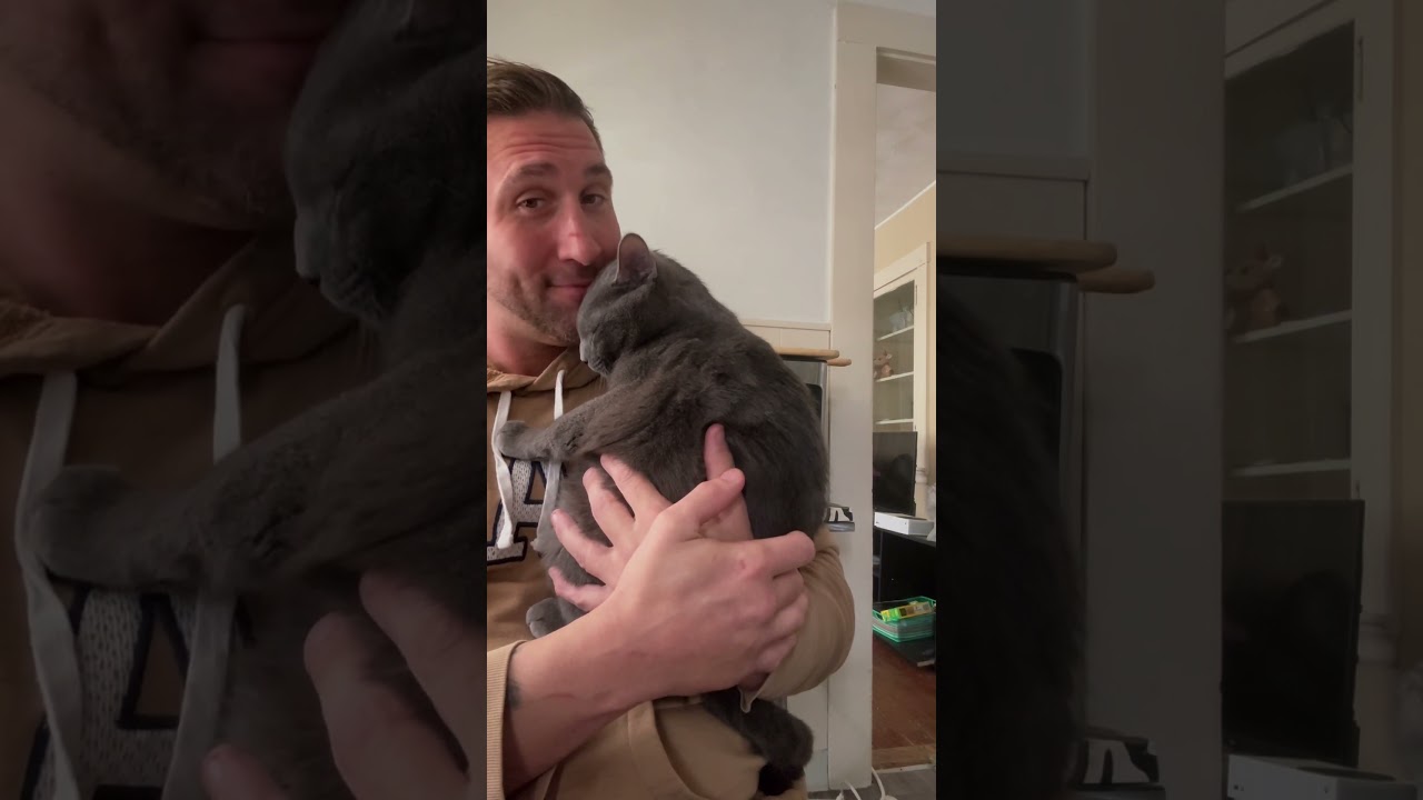��������� ����� �� ����� - ��� ������ ����