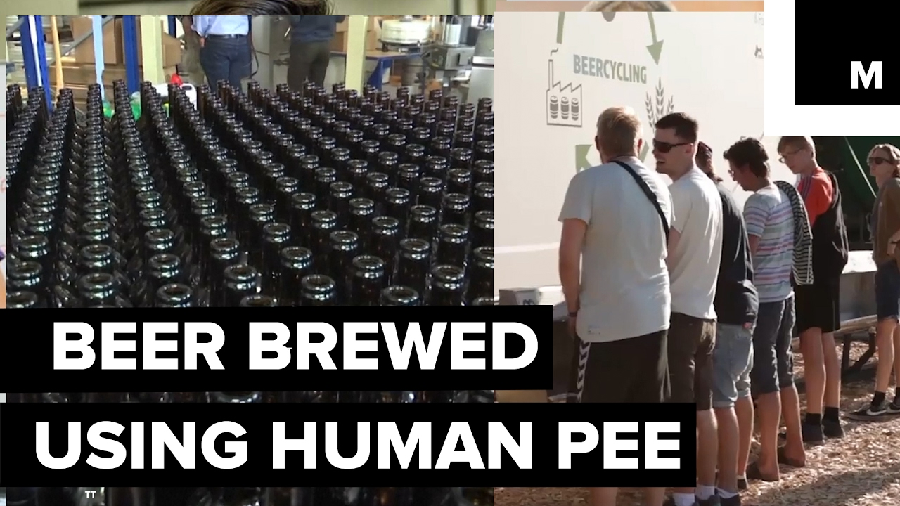 Recycled human urine as a key ingredient in novelty craft beer