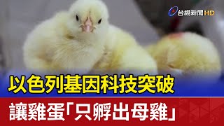 [問卦] 以色列…科技突破，讓雞蛋「只孵出母雞