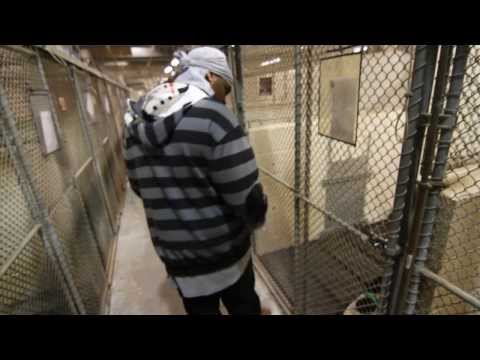 Mercy's Kennel