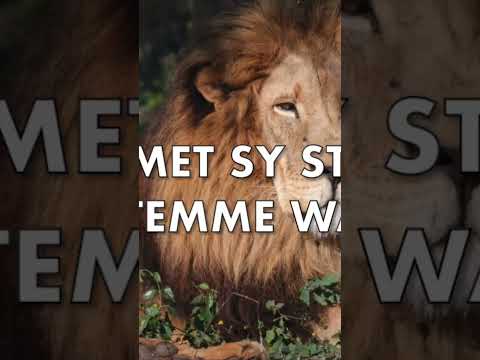 Riaan & Franna Benad&eacute; - Ken jy die land (Lyrics)