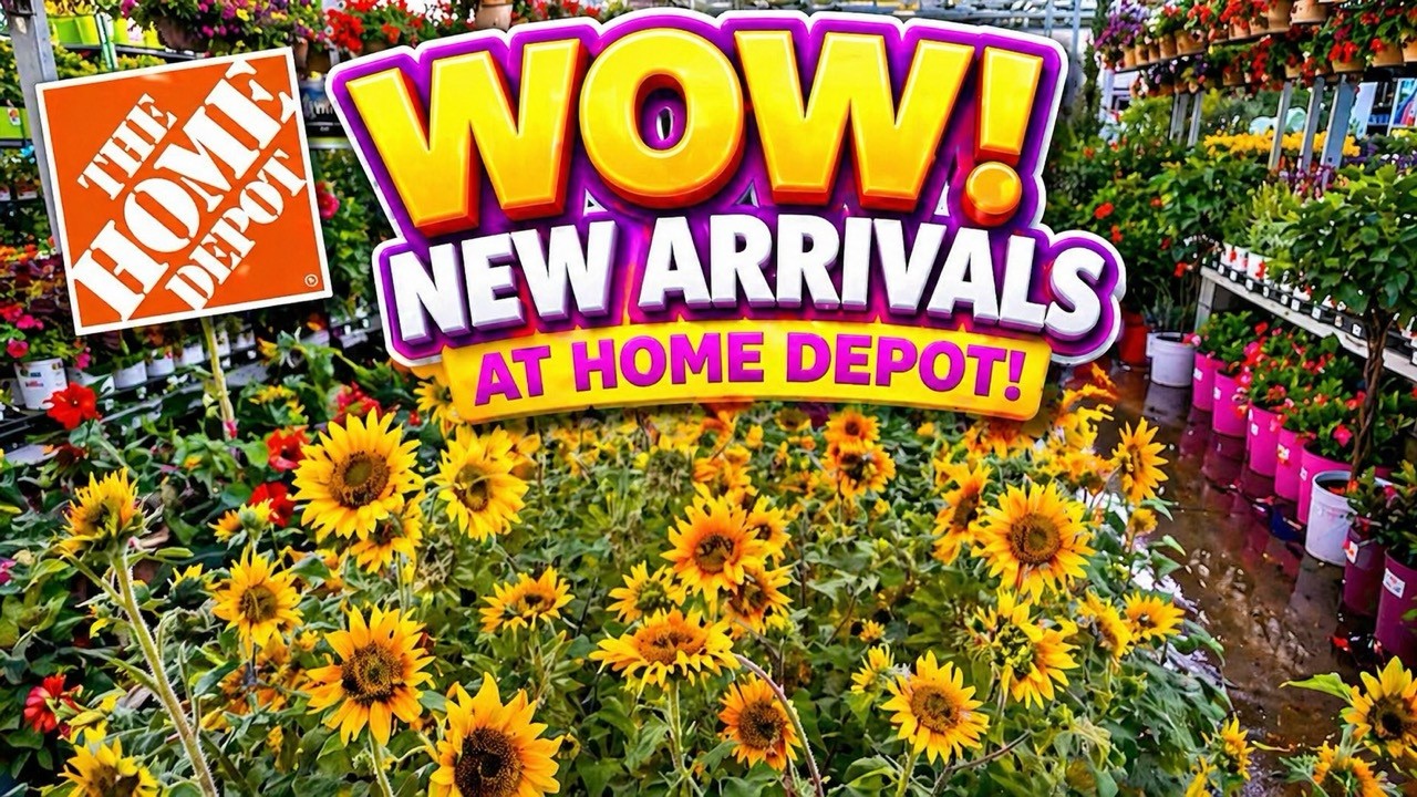 WOW!! New Arrivals at Home Depot 🌿 Weekend Plants, Deals & Fresh Finds