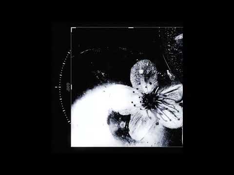 [free] (5+) Guitar Altrock/Shoegaze Loop kit - "Flower" (Destroy Lonely Loopkit)