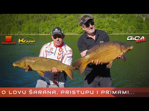 Goran Radović Gica - O pecanju sarana - Zlatarsko jezero