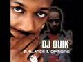 DJ Quik - Pitch In Ona Party 