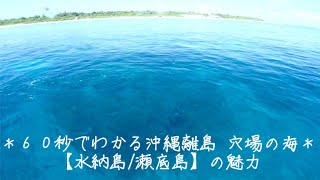 オーシャンアドベンチャー