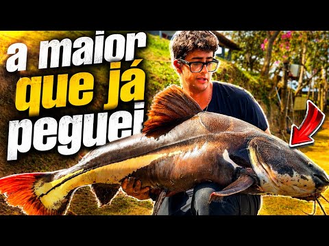 CANSAMOS DE PEGAR PIRARARA NO POINT DA PESCA