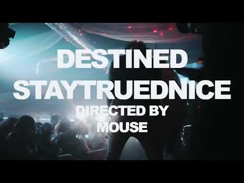 StayTrueDnice- Destined