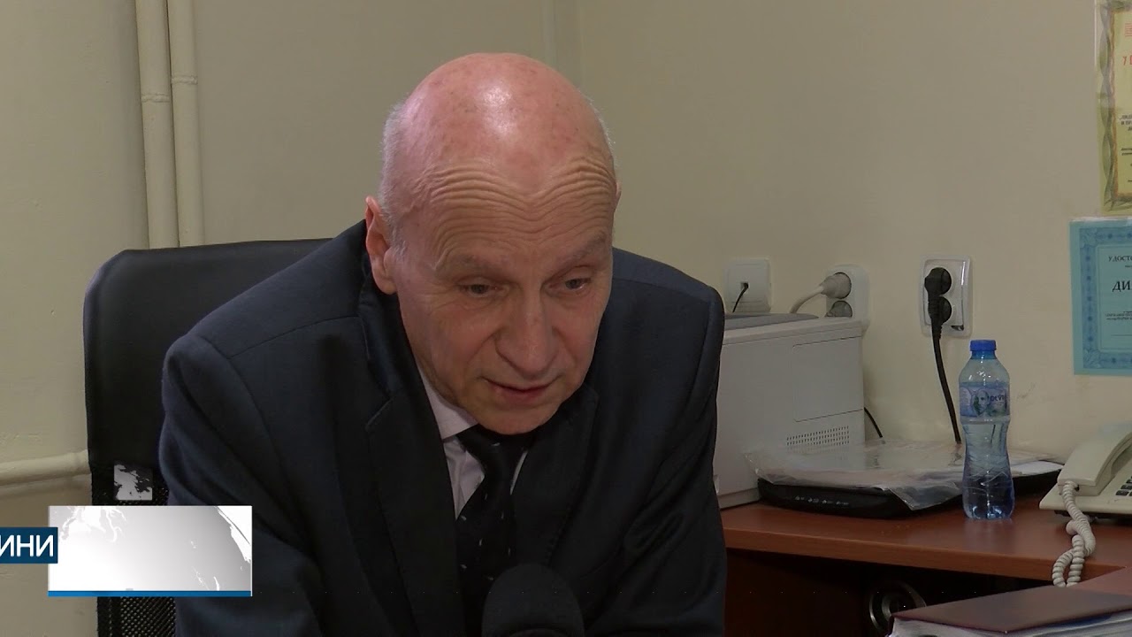 Глутници бездомни кучета превзеха Хасково