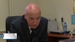 Глутници бездомни кучета превзеха Хасково