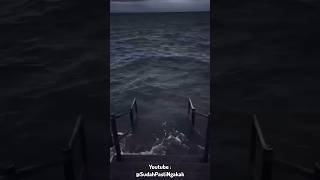 Download lagu kucing kesurupan🤣 #memes #cat #catmemes #catvideos #shorts mp3