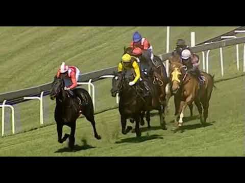 Summer Pudding Turffontein 7/11/20