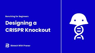 Benchling for Beginners: Designing a CRISPR Knockout