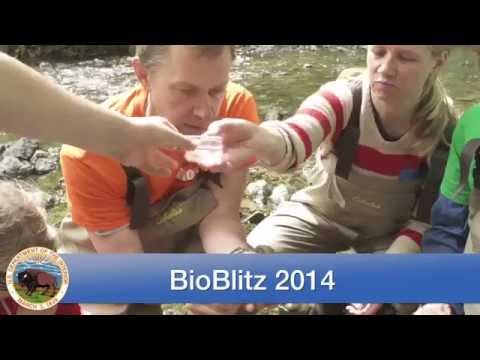 今週のインテリア 2014年4月4日 (This Week at Interior April 4, 2014)