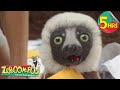 BIG Zoboomafoo Compilation Talk To Me Full Episodes For Kids