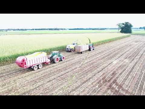 Warren Farms - Maize Harvest 7 May 2020