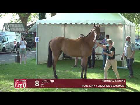 Sprinter Sacré Show 2021 : Lot 8 - Jolink