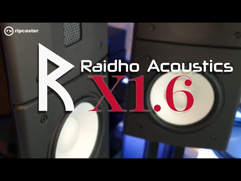 Raidho X1.6 High Performing Compact Speaker at Ripcaster