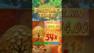 🌳Prosperity Fortune Tree by PG | Real Cash Slots at India Online Casino | Sponsored by Luckytaj#slot