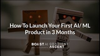 How To Launch Your First Artificial Intelligence/ Machine Learning Project In 3 Months