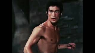 The way of the dragon