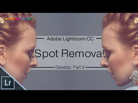Lightroom 6 / CC Tutorial - Spot Removal Tool Video