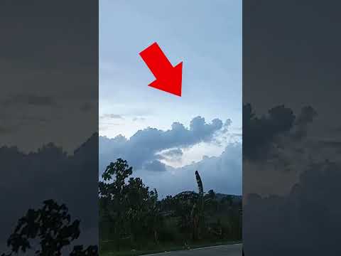 A REAL DRAGON CAUGHT ON CAM. #shorts